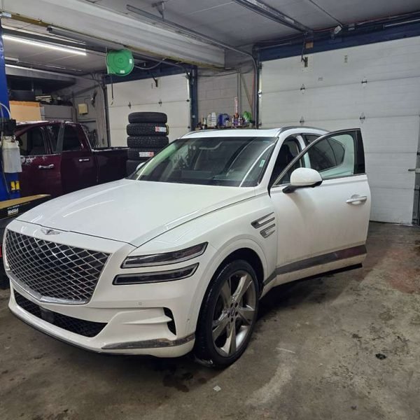 Polarizado forza customs (1)