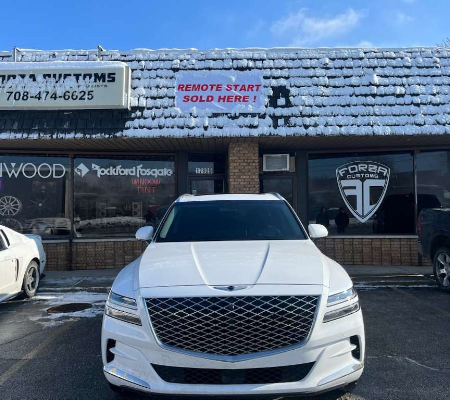 Polarizado forza customs (2)